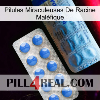 Pilules Miraculeuses De Racine Maléfique 40